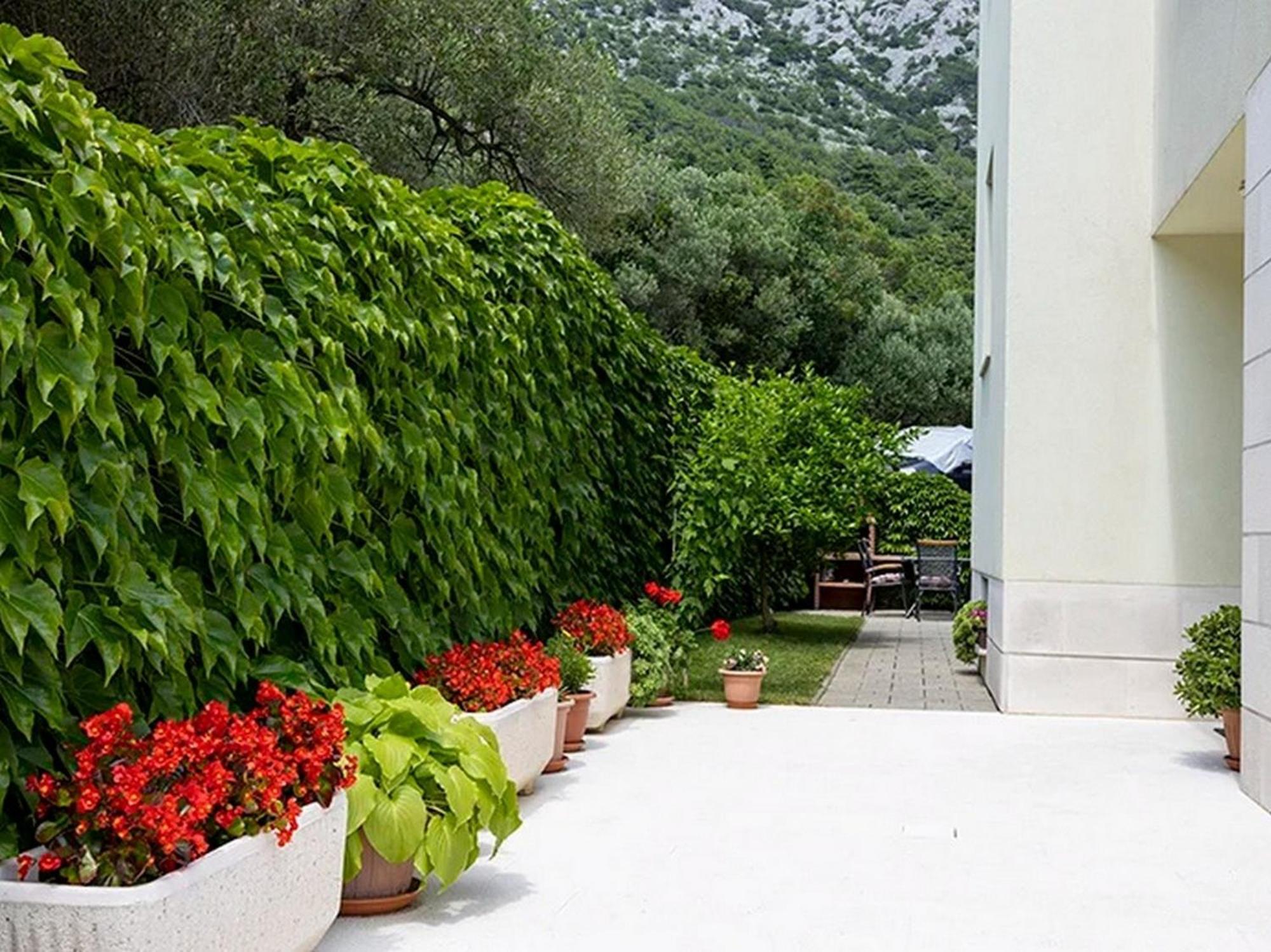 Apartments By The Sea Igrane, Makarska - 17292 Exterior photo